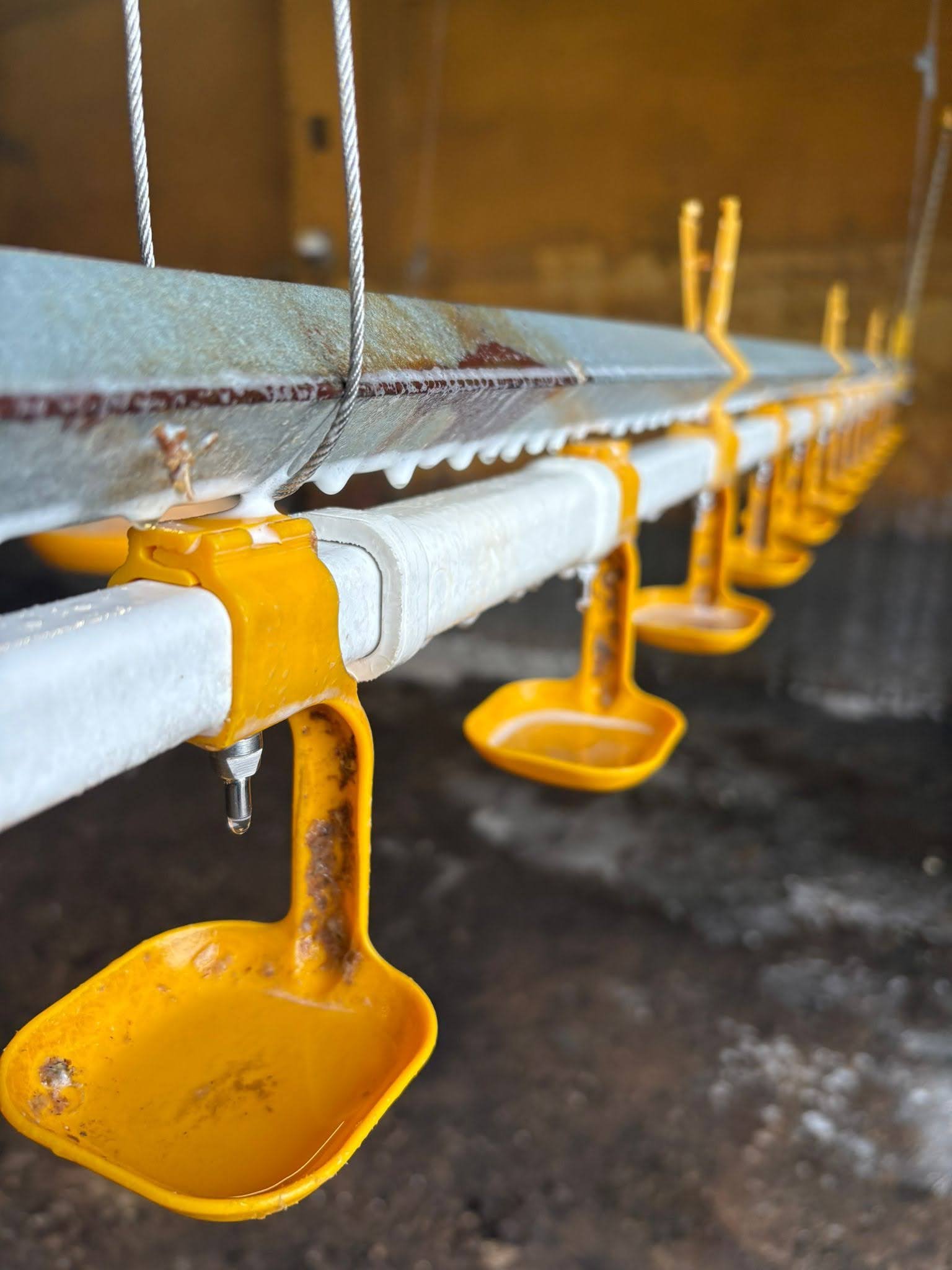 6e6b66fb 1004 4492 8b1e 3f8f78c6968b