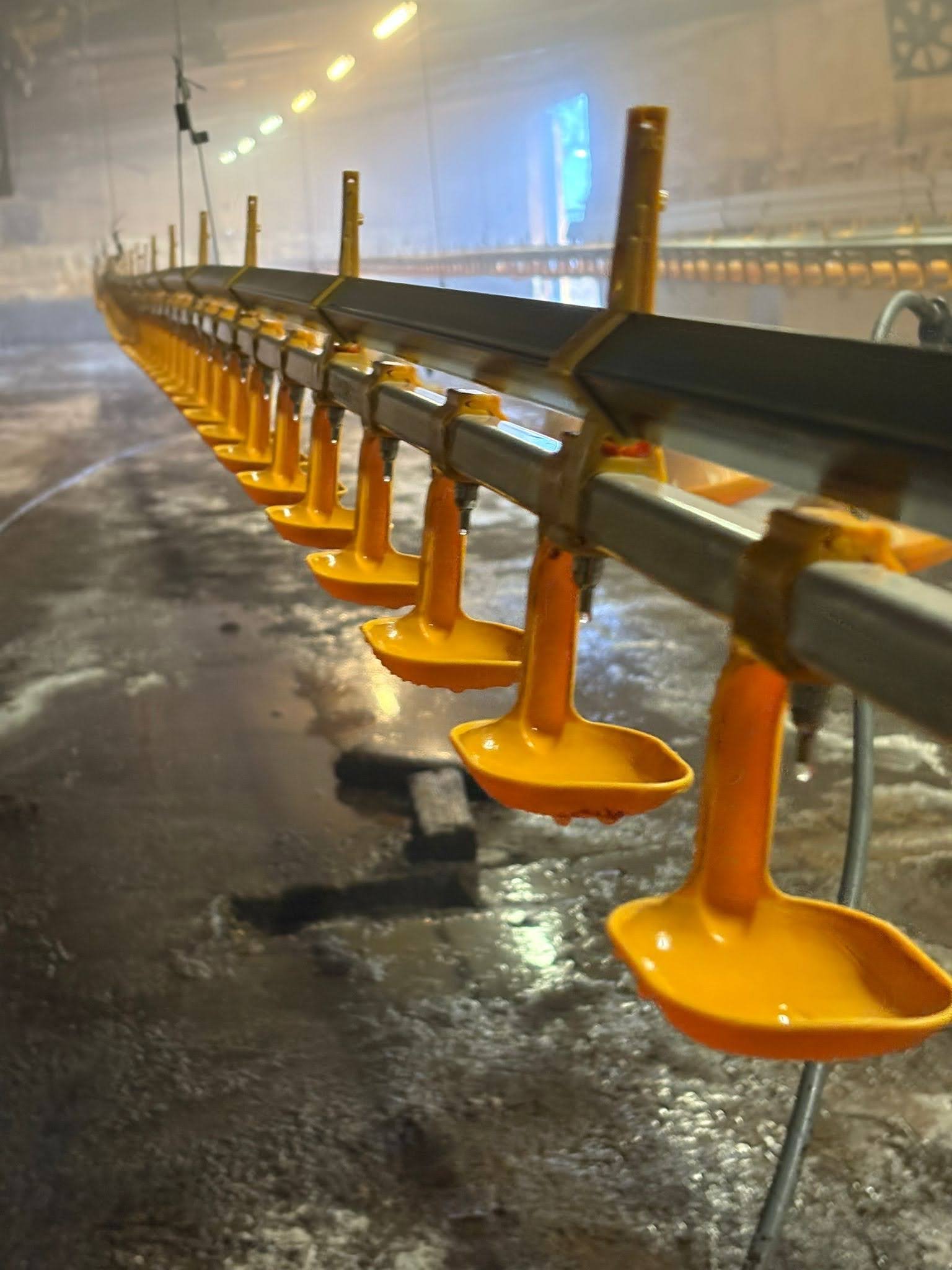 9b4348cb 8ec8 43b1 9b9a 61450f535f5d