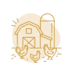 chicken farms e1765224742495 removebg preview