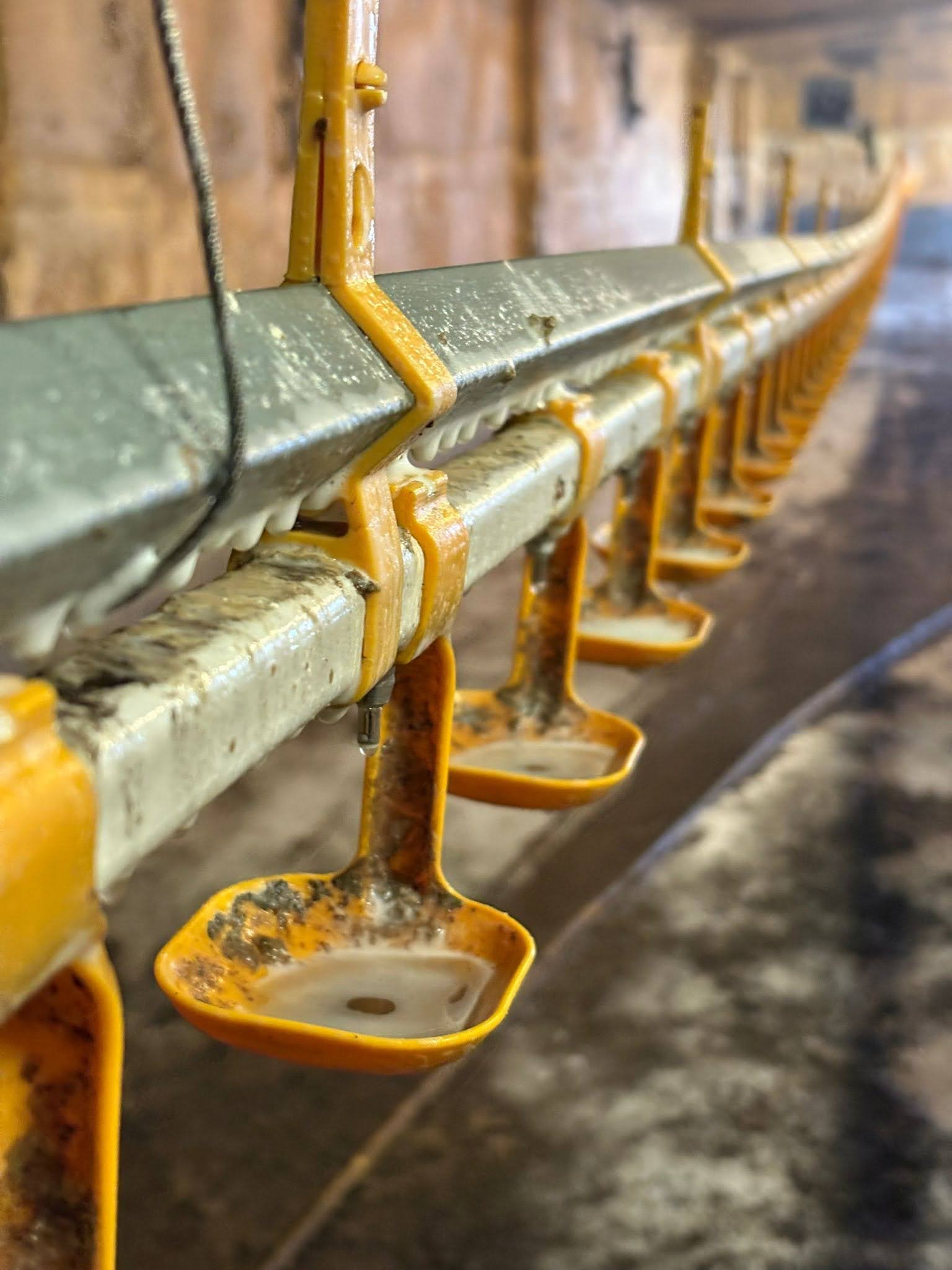 Daf9d71b 6303 4029 9941 82a05c49969d