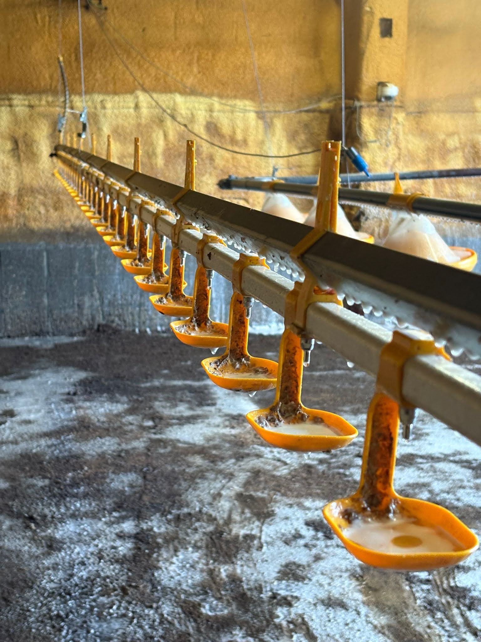 Ea7b6a28 1036 40bf Bee5 5f02f2def053